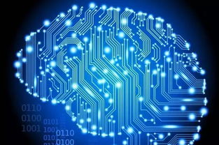 计算机科学专业分支与学位解读